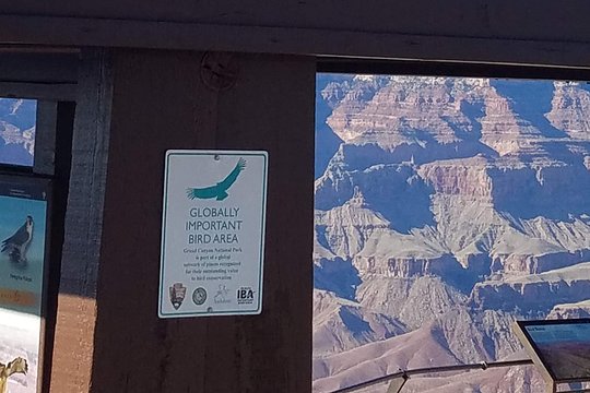 Tour image 3